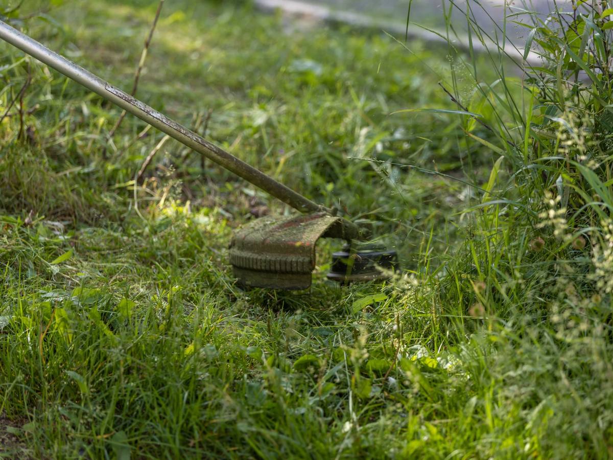 Rasentrimmer schneidet hohes Gras an einer Außenanlage in Bruchsal