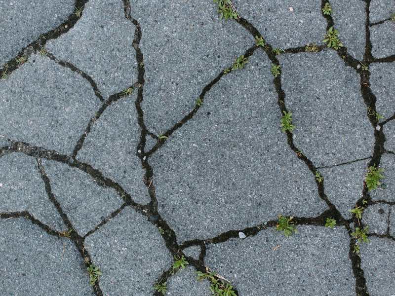 Unkraut wächst in Rissen und Fugen eines Asphaltwegs in Bruchsal